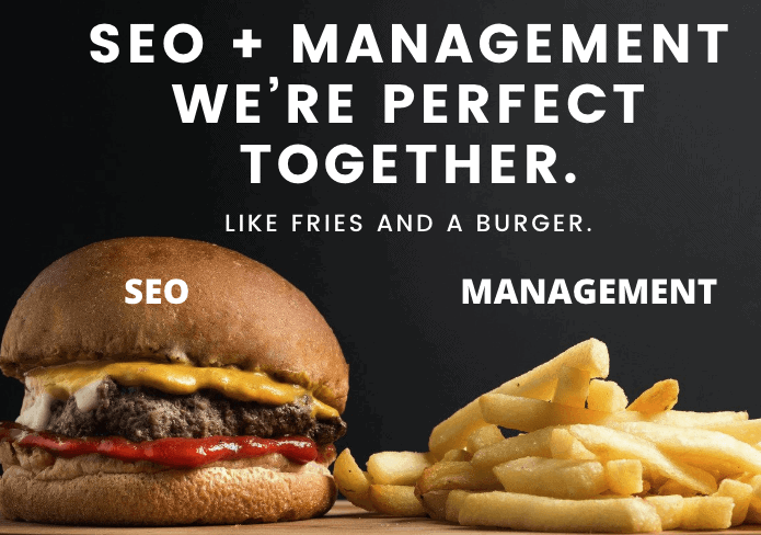 seo management for business